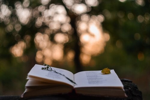livre de poésie de Paul Eluard