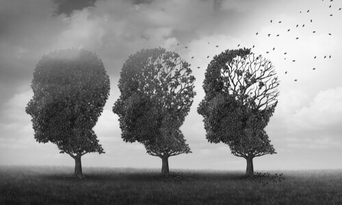 neuropsychologie du vieillissement