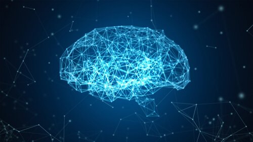 Le projet Blue Brain