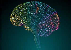 Le Projet du connectome humain : découvrir notre cerveau en profondeur