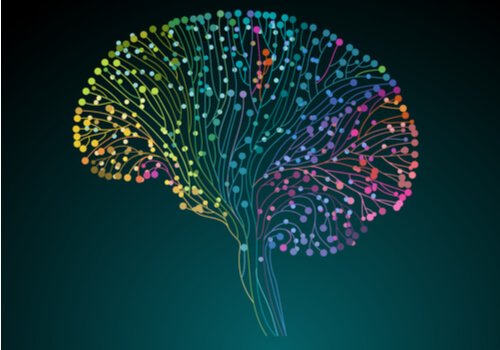 Le Projet du connectome humain : découvrir notre cerveau en profondeur