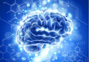 La neuroéthique : caractéristiques et développement