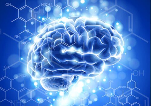 La neuroéthique : caractéristiques et développement