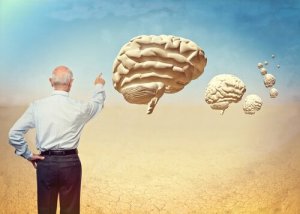 La neuropsychologie du vieillissement