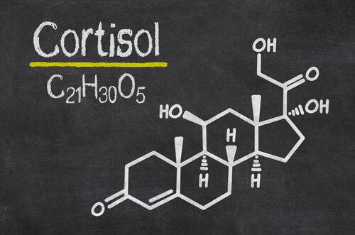 La formule du cortisol