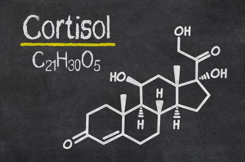cortisol et trauma