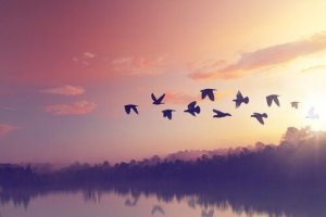 7 phrases intéressantes de Térence