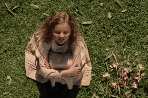 Dans l'ombre de Mary