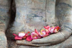 Les axes de l'amour, selon le bouddhisme
