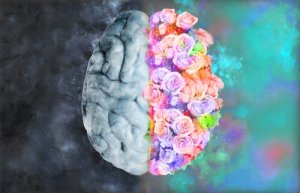 Neuroesthétique: la science pour comprendre l'art