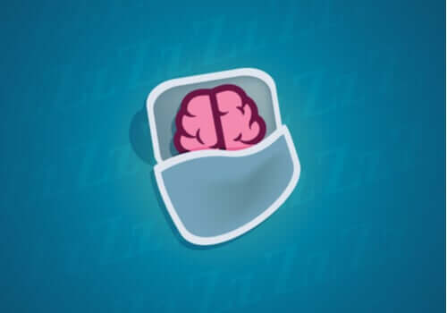 Que se passe-t-il au niveau des neurones quand on dort?