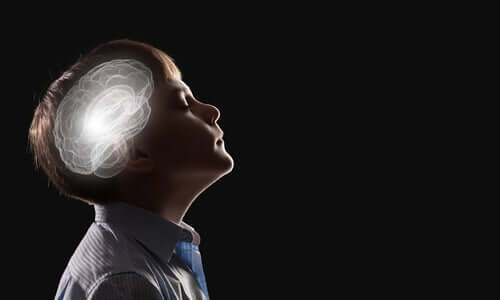 neurobiologie de l'intuition