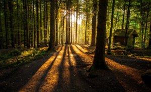 Les trois réponses, une histoire sur la différence