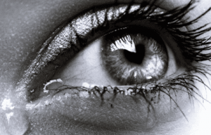 Kama muta, l'émotion la plus intense chez l'être humain