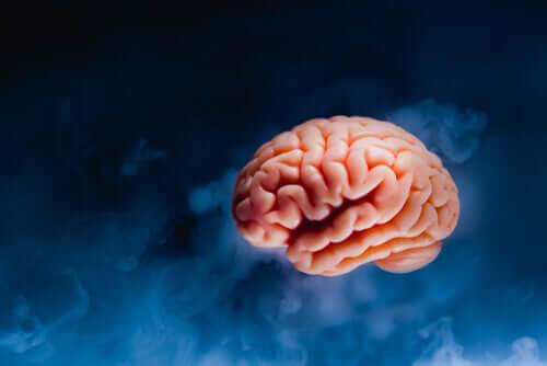 Un cerveau, objet de l'expérience de Dutton et Aron