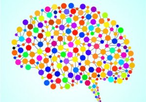 Les 97 zones du cerveau qui nous sont inconnues