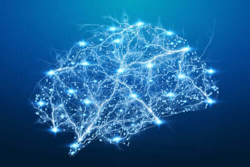 L'amygdale cérébrale en schéma lumineux