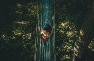 Dutton et Aron, la fascinante théorie de l'attribution erronée