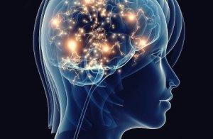 Une dépression non soignée a des effets neurodégénératifs