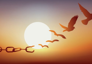 La liberté provisoire