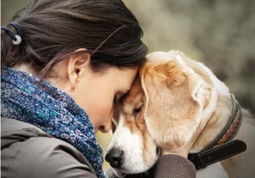 Les chiens peuvent aider les personnes atteintes du trouble borderline