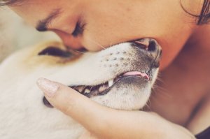 Le trouble borderline et la relation avec les chiens