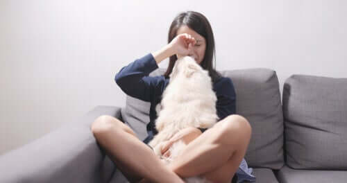 Une femme pleurant avec son chien sur son canapé