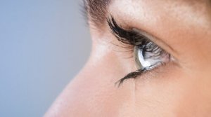 La thérapie EMDR et la pleine conscience : un tandem qui fonctionne