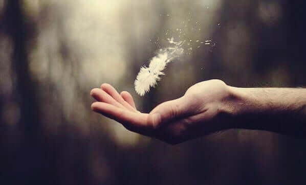 Une plume dans une main