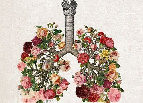 Une illustration de poumons fleuris