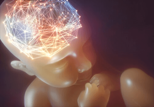 L'esprit d'un bébé