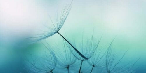 Une représentation de l'esprit calme