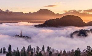 "Cela s'appelle le calme", le texte du Dalaï Lama qui invite à la réflexion