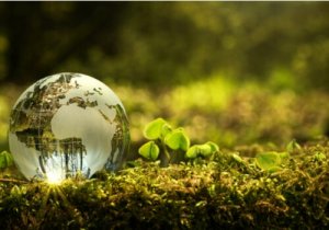Contribuer à la protection de l'environnement