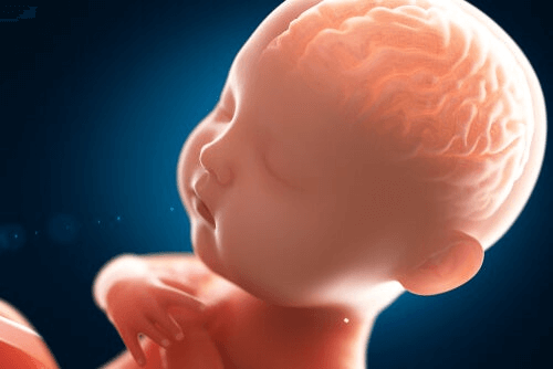 A quoi ressemble l'esprit d'un bébé ?