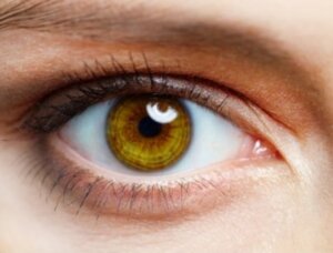 Optographie : la science macabre du XIXè siècle