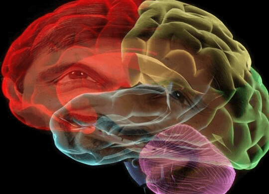 Le cerveau fonctionne d'une telle manière que nous oublions nos rêves