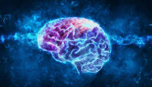 Une illustration du cerveau et du cortex entorhinal