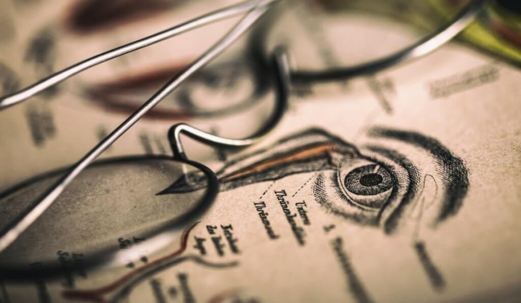 Comment fonctionne l'optographie ?