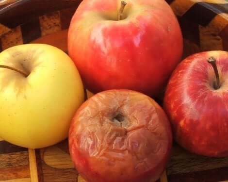La théorie de la pomme pourrie : qu'est-ce que c'est ?