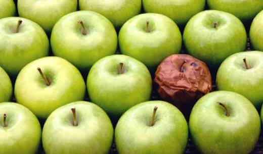 La théorie de la pomme pourrie : l'effet d'un mauvais collègue de travail
