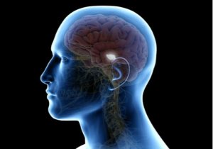 Substance noire: épicentre du mouvement et du sommeil