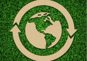 Qu'est-ce que l'économie circulaire ?