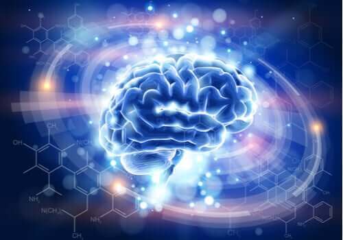 Un cerveau illuminé de couleurs