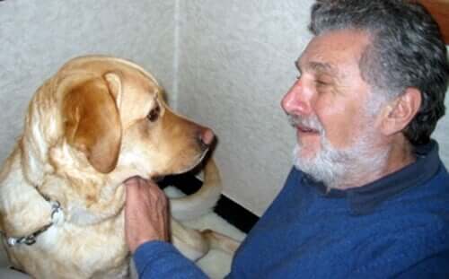 Elliot Aronson et son chien