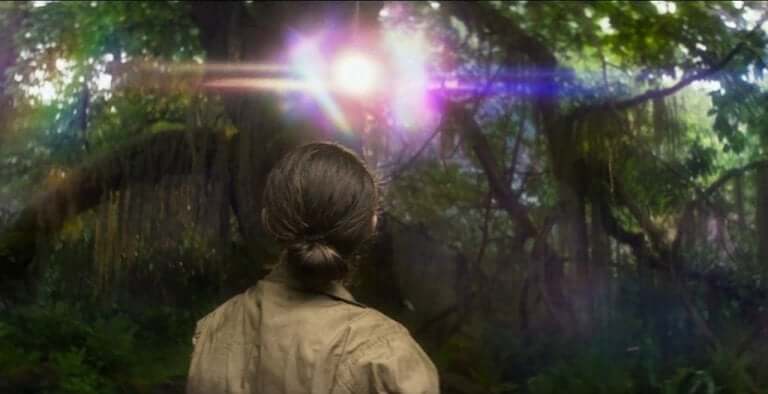 Une image du film Annihilation