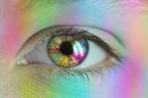 Vision de la couleur : comment perçoit-on les couleurs ?