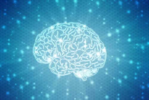 Un cerveau en pleine rééducation neuropsychologique