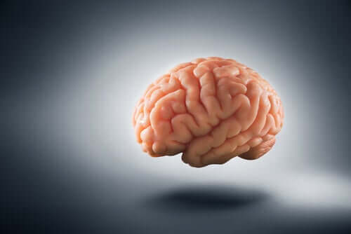 La pauvreté a une incidence sur le cerveau