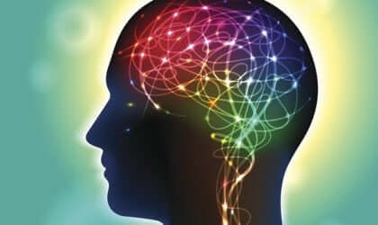 Les ganglions de la base et le cerveau